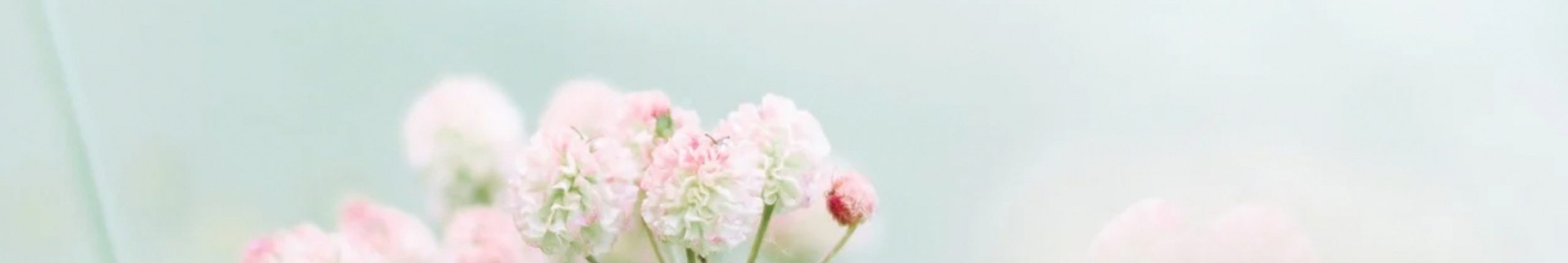header-img2